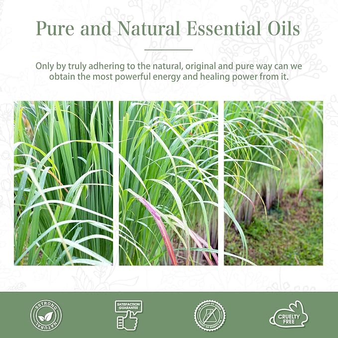 PHATOIL 100ML Lemongrass Essential Oil, 3.38FL.OZ Essential Oils for Diffuser, Humidifier, Aromatherapy, Lemongrass Oil Scented Oils for Soap, Candle Making