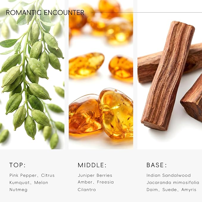 Hotel Diffuser Oil Romantic Encounter Scent - Premium Fragrance Oil for Ultrasonic and Waterless Diffuser - 120 mL, 4 fl oz