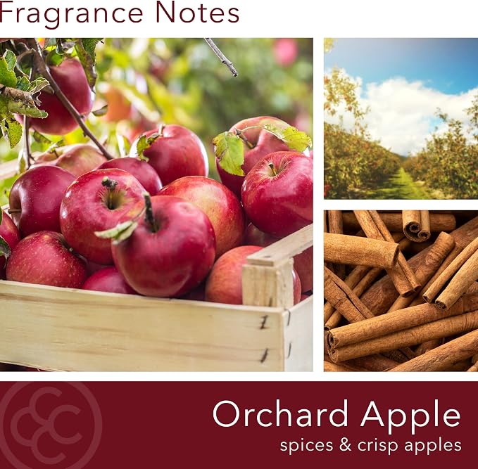 Colonial Candle Orchard Apple Scented Candle, 2-Wick Natural Soy Blend Wax Candle Infused with Essential Oils, 14 oz Apothecary Glass Jar Candle - Made in The USA