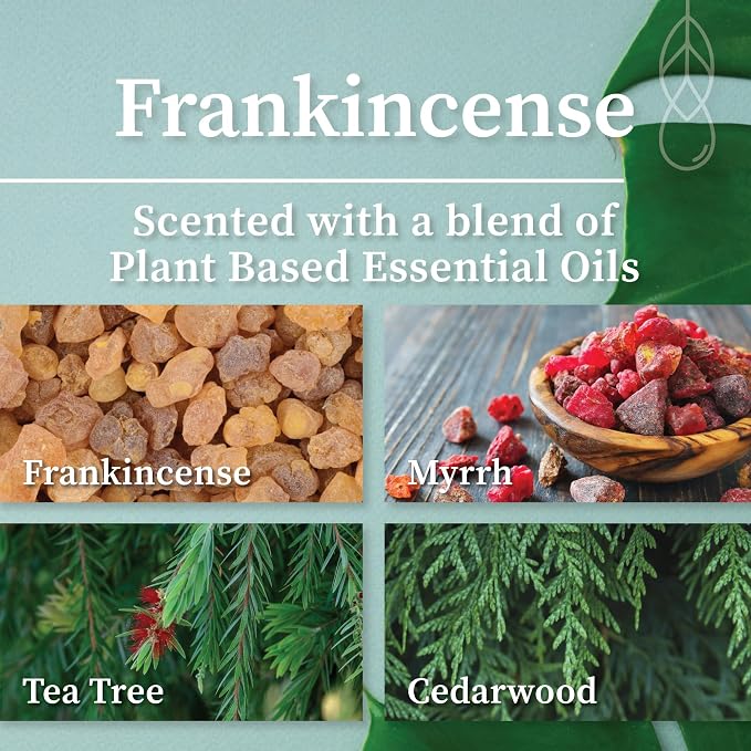 Hemlock Park Frankincense Apothecary Scented Candle | Crackling Wood Wick, Botanical Fragrance & Coconut Apricot Wax | Up to 60 Hour Burn Time | 8 oz | Made in USA