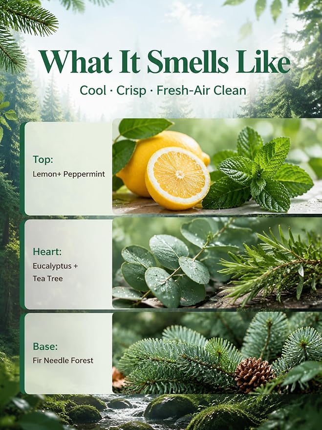 Breathe & Refresh — A 100% Pure Essential Oil Blend Cool-Crisp Blend that Makes Any Space Feel Like Fresh Air Again, Essential Oils for Diffusers for Home
