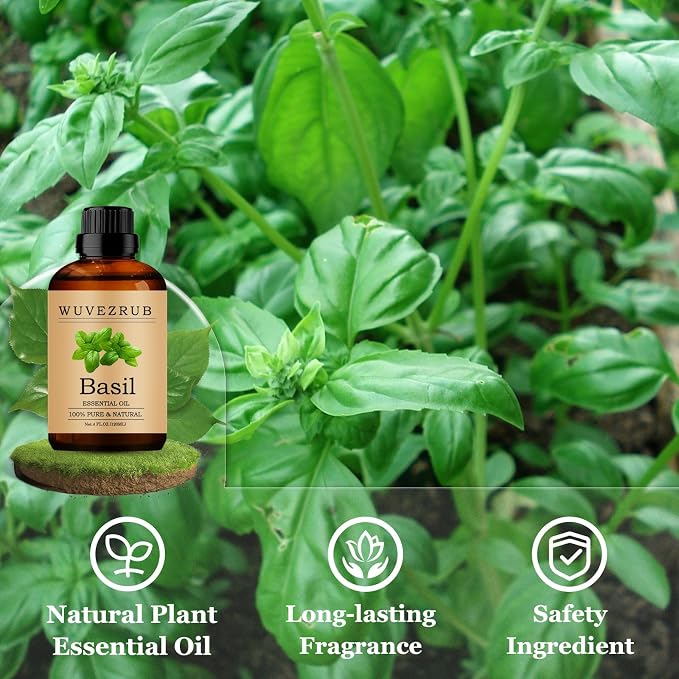 Basil Essential Oils 120ML, Pure Basil Essential Oil for Aromatherapy Diffuser - 4 Fl Oz