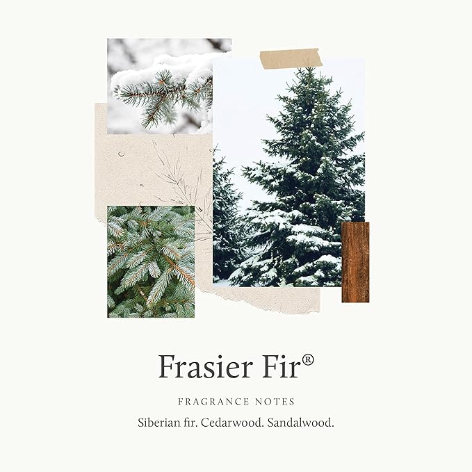 Thymes Frasier Fir Car Diffuser Refills - Includes 4 Car Air Freshener Diffuser Reeds - Long-Lasting Air Freshener (Refills Only)