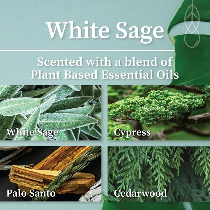 Hemlock Park White Sage Apothecary Scented Candle | Crackling Wood Wick, Botanical Fragrance & Coconut Apricot Wax | Up to 80 Hour Burn Time | 16 oz | Made in USA