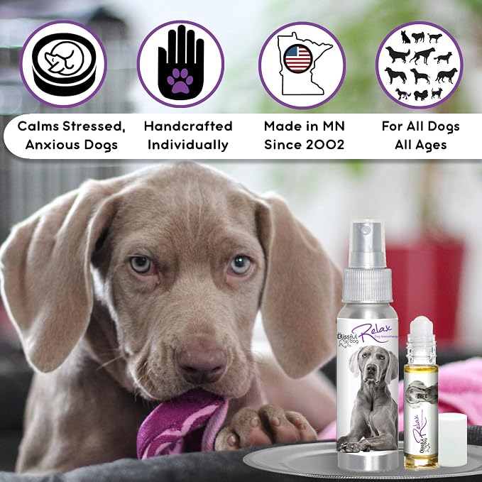 The Blissful Dog Weimaraner Relax Roll-ON Aromatherapy for Dogs - Anxiety Relief for Dogs