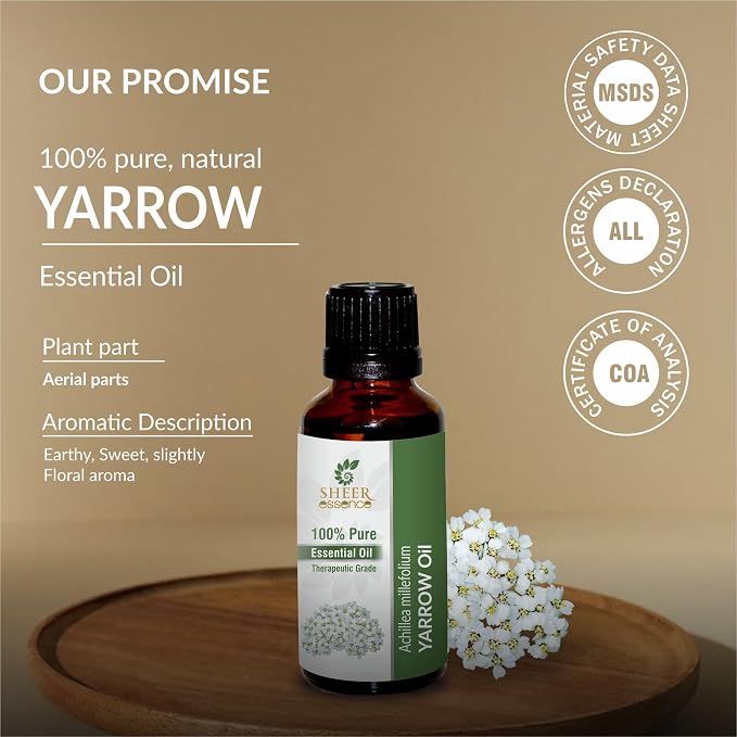 Yarrow Oil -(Achillea Millefolium)- Essential Oil 100% Pure Natural Undiluted Uncut Therapeutic Grade Oil 1.01 Fl.OZ