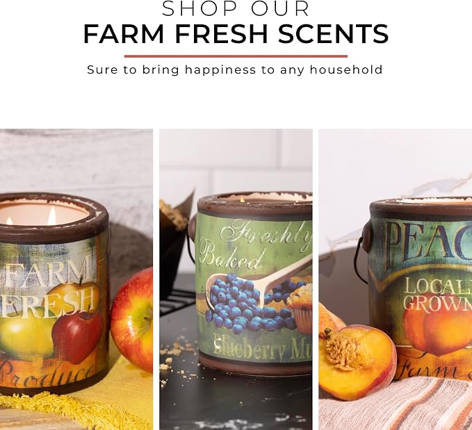 A CHEERFUL GIVER 95hr 20oz Scented Candle - Balsam Fir - Multi-Wick Glass Candle - Gifts For Men and Women