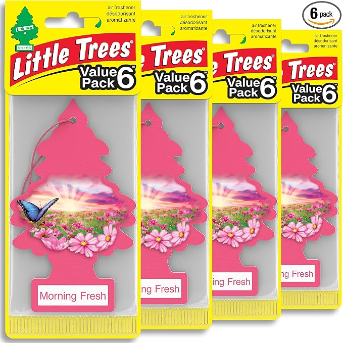 LITTLE TREES Car Air Freshener | Hanging Tree Provides Long Lasting Scent for Auto and Home | 24 Air Fresheners |Morning Fresh