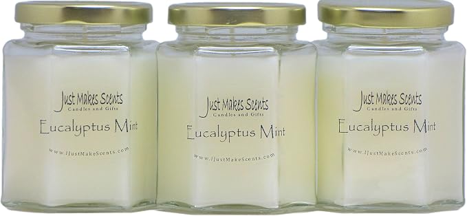3 Pack - Eucalyptus Mint Scented Candles | Fresh Spearmint and Relaxing Eucalyptus Fragrance | Hand Poured in The USA by Just Makes Scents