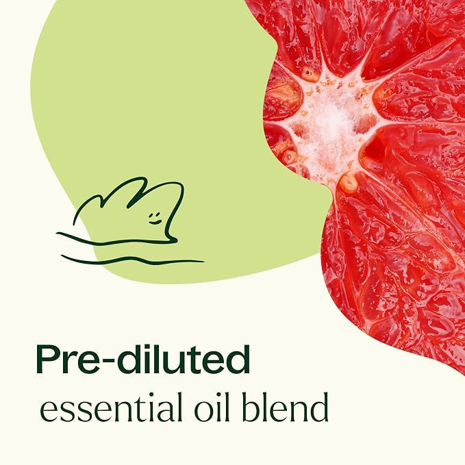 Plant Therapy Brain Aid Essential Oil Blend Pre-Diluted 10 mL (1/3 oz), 100% Pure, Aromatherapy for Focus & Attention