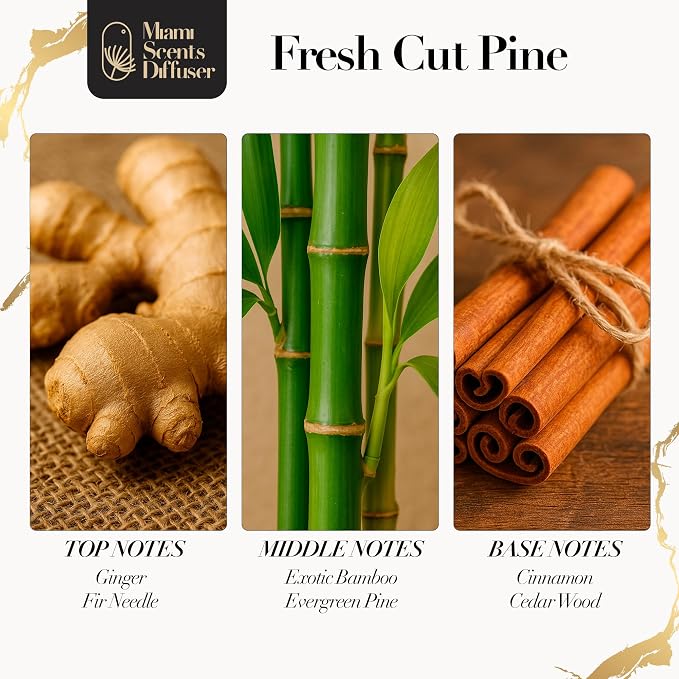 Cool Pine Essential Oil Refill Luxury Hotel Inspired - Long Lasting Aroma for Home & Commercial Diffuser - 120ml Fresh Blend of Exotic Bamboo, Cinnamon and Ginger, Scent for Spa Wellness Aromatherapy