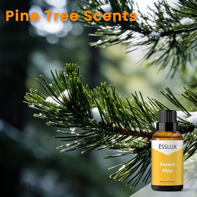 Forest Pine Fragrance Oil - ESSLUX Pine Tree Scents, Fresh Wood Essential Aromatherapy Oils for Home for Diffuser, Candle Soap Making Scents, Massage, Perfume, Home Fragrance, 30 ml