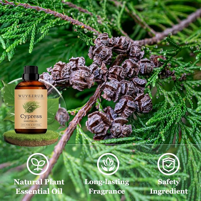Cypress Essential Oils 60ML, Pure Cypress Essential Oil for Aromatherapy Diffuser - 2 Fl Oz