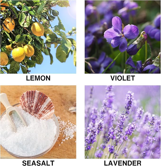 Ocean Breeze Scent Reed Diffuser 150ml – Aroma Diffuser with Lemon, Violet, Lavender & Sea Salt – Long Lasting Reed Diffusers for Home, Crafted by Expert Perfumers – 150ml