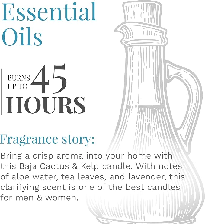 Essential Elements by Candle-lite Scented Candles, Baja Cactus & Kelp Fragrance, One 14.75 oz. Three-Wick Aromatherapy Candle with 45 Hours of Burn Time, Off-White Color