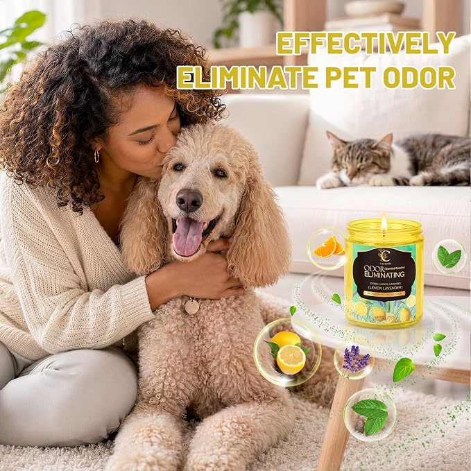 Lavender Odor Eliminating Candles, Pet Scented Candles for Home, Single Wick Soy Candle Gifts for Women, Men, Ideal for Creating Relaxing Atmosphere, Over 50 Hours of Burn Time