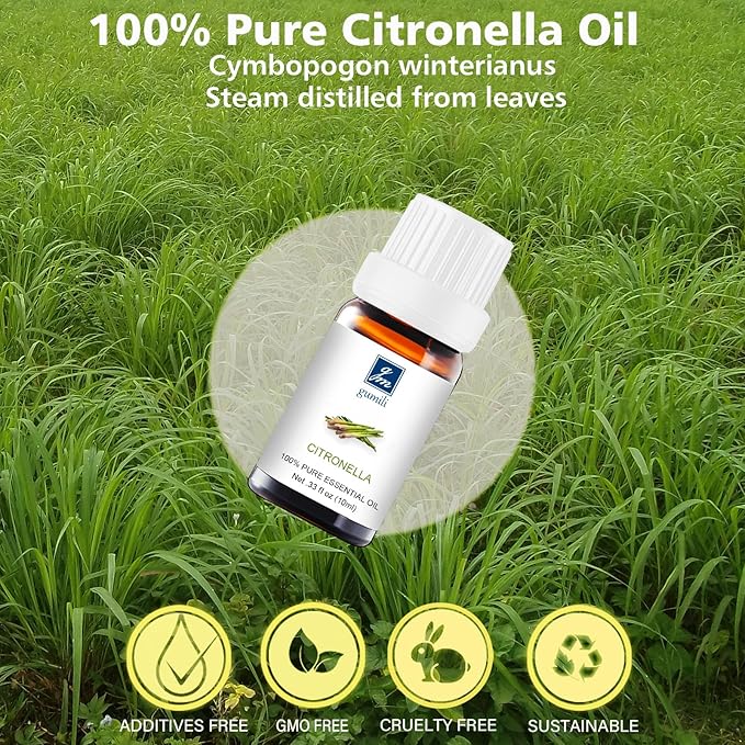 GM Gumili Citronella Essential Oil - 100% Pure Organic Oil for Diffuser, Spray, Candle Making & Skin Care - 10mL Glass Bottle