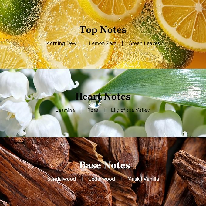 Aofmee Hotel Scent Diffuser Oil: Inspired by Five Star Hotels - Luxury Fragrance Oil RA156 for Ultrasonic and Waterless Scent Diffuser - 20ml .68 fl oz