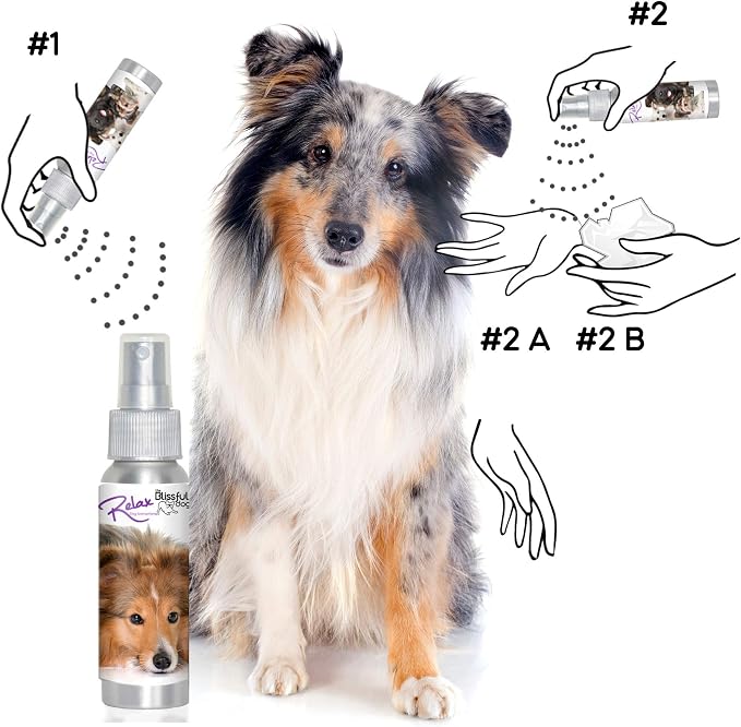 The Blissful Dog Shetland Sheepdog Relax Aromatherapy Spray for Your Dog's Anxiety