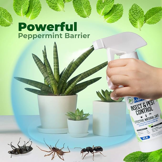 8oz Insect and Pest Control Peppermint Oil - Natural Spray for Spiders, Ants, and More (2)