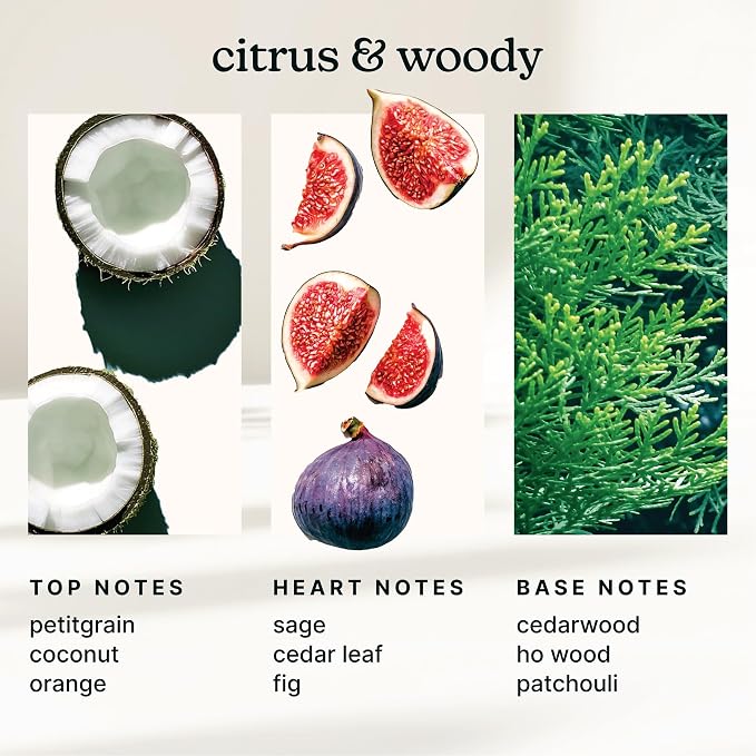 Homedics SereneScent Diffuser Oil — Fig & Sage, Fresh & Herbal Home Fragrance, 15ml, for Uplifting & Relaxing Ambiance, Compatible with SereneScent Diffusers, Ultrasonic Diffusers