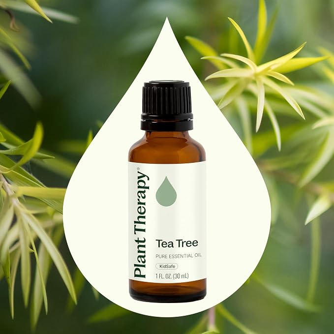 Plant Therapy Tea Tree Essential Oil 100% Pure, Undiluted, Natural Aromatherapy, Therapeutic Grade 30 mL (1 oz)