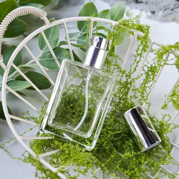 30ml/1.0 Oz Glass Spray Bottle Perfume Atomizer,Travel Refillable Perfume Bottles Empty Classic Spray Bottle 2Pack (Silver, 30ml)