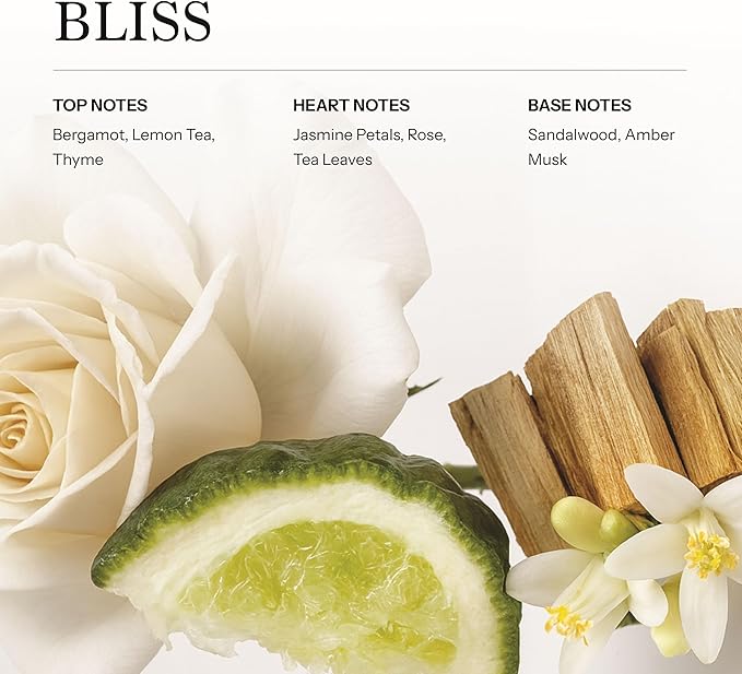 Bliss Hotel Diffuser Oil 100ml, 3.38 oz Aroma Oil, Scent Inspired by The World’s Most Iconic Luxury Hotels, Aromatherapy Refill Fragrance for Waterless Cold Air Diffusers, Home, Office, Hotel