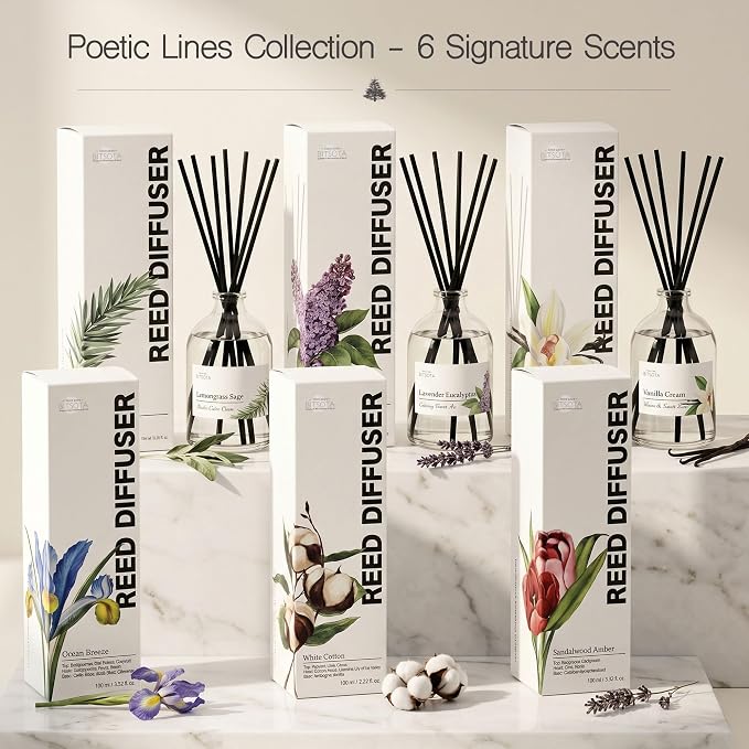 Reed Diffuser Set for Bathroom & Home, Long Lasting Essential Oil Aroma, Glass Bottle Home Fragrance with Sticks, Ideal Gift for Woman