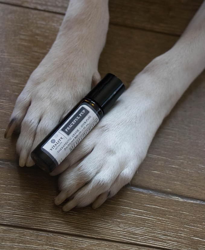Peaceful Pup - Dog Anxiety & Stress Relief Roll-On (by Vitality Extracts) - Natural Calm, Ease Anxiety & Stress, Aromatherapy, Lavender Essential Oil, Lemon Essential Oil, in Almond Oil Base