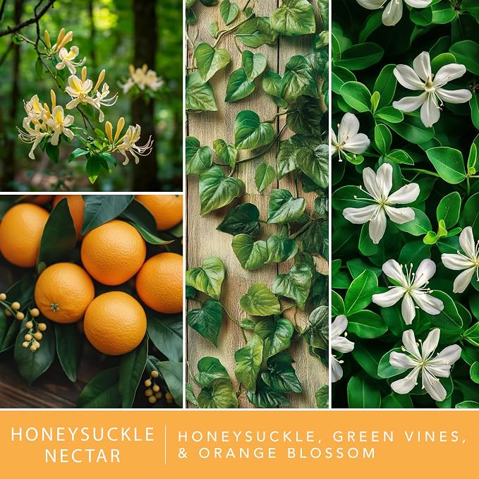 ScentSationals Honeysuckle Nectar Scented Wax Melts - Honeysuckle, Green Vines, & Orange Blossom, 10oz (24 Cubes)