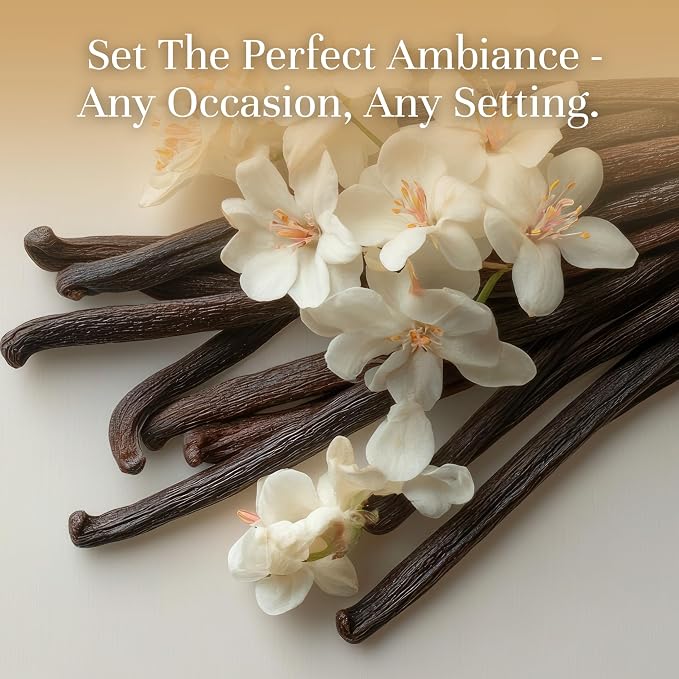P&J Trading Fragrance | Vanilla Bean Oil 100ml - Candle Scents for Candle Making, Freshie Scent, Soap Making Supplies, Diffuser Oil Scents