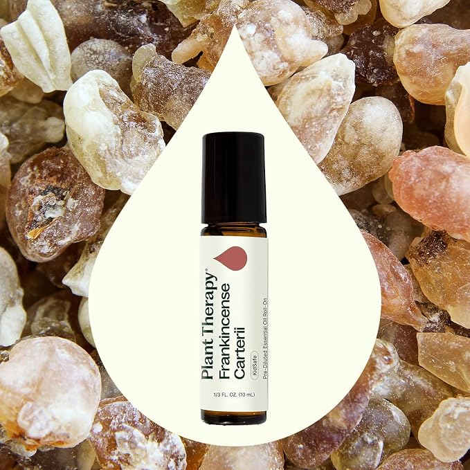 Plant Therapy Frankincense Carterii Essential Oil Pre-Diluted Roll-On 10 mL (1/3 oz), Natural Aromatherapy, Soothing Essential Oil for Meditation, Skin Irritation, and Sore Muscle Relief