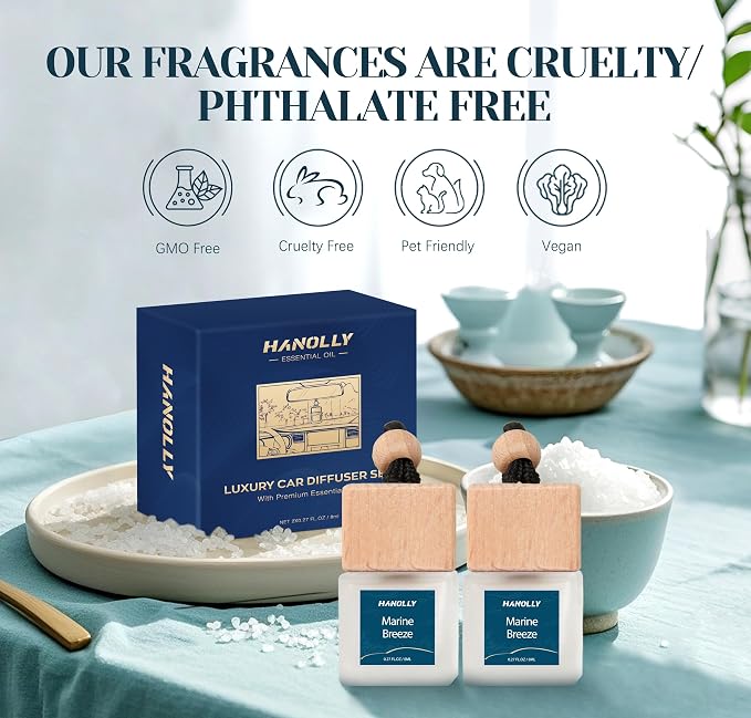 HANOLLY Car Air Freshener Hanging 2 Pack – Marine Breeze Car Freshener Diffuser, Fall Car Air Freshener for Women and Men, Lasting up to 45 Days. 0.27 FL OZ/8ML