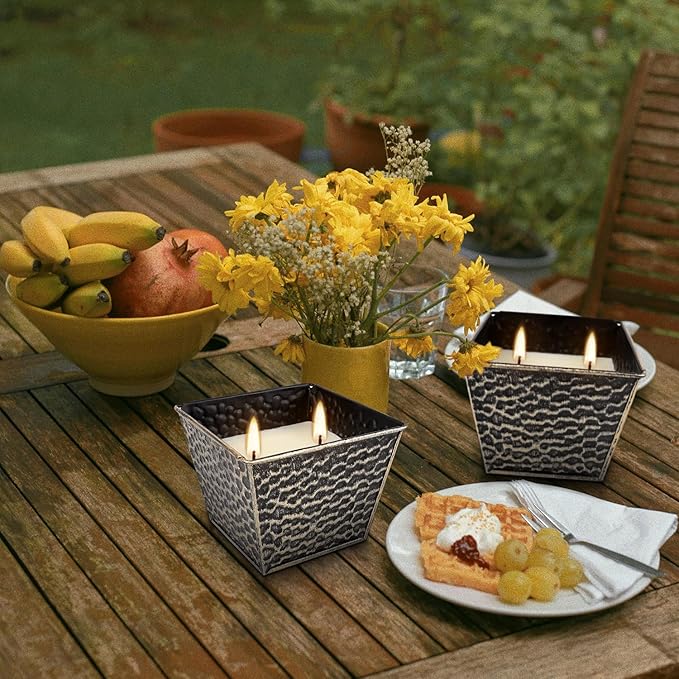 2Pcs Citronella Candles Outdoor Indoor-Large 12oz Scented 50H Long Lasting Summer Candle Bulk for Home Decor, Garden,Party,Backyard & Camping(2-Wick)
