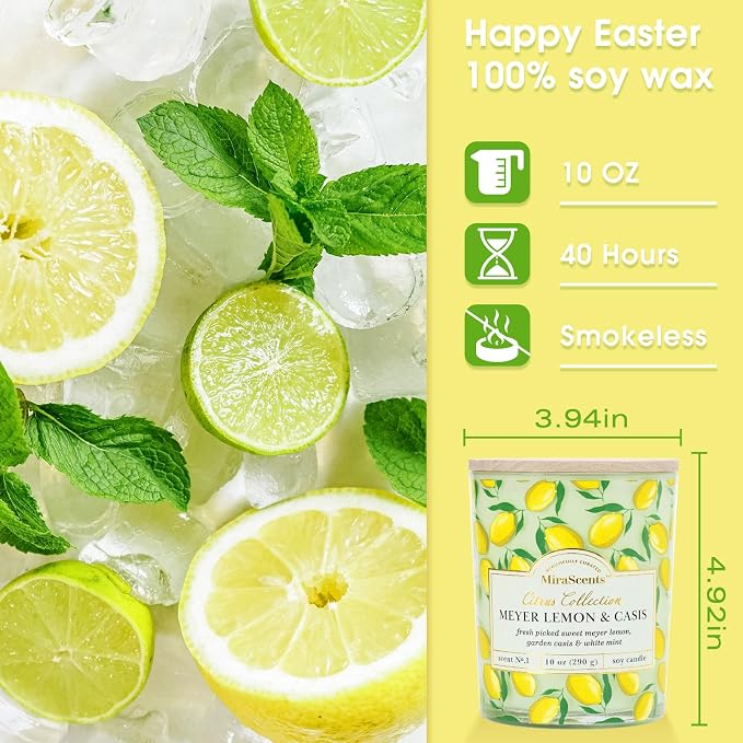 Lemon Candle,Lemon Scented Candles,Summer Scented Candle for Home & Kitchen,Natural Soy Wax Candles,Candles Gift for Womens,Mother Day Gift,10oz