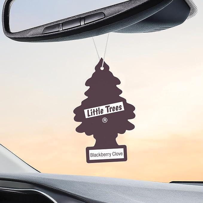 LITTLE TREES Car Air Freshener | Hanging Tree Provides Long Lasting Scent for Auto and Home | 24 Air Fresheners |Blackberry Clove
