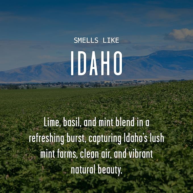 Idaho Gifts, Idaho Decor for Home - 'There's No Place Like Idaho Candle, w/Lime, Basil & Mint I Idaho Souvenirs I Idaho State Gifts I 9oz Jar, 50Hr Burn, USA Made