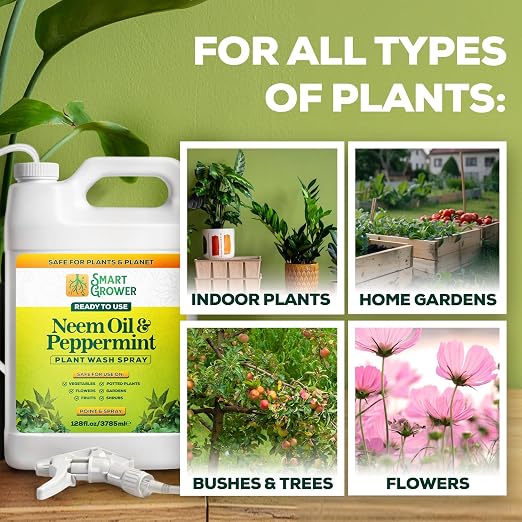 Neem Oil Spray for Plants with Peppermint Oil 128oz with Trigger Sprayer, Natural Plant Wash Made for Indoor and Outdoor Plants - 128oz Smart Grower