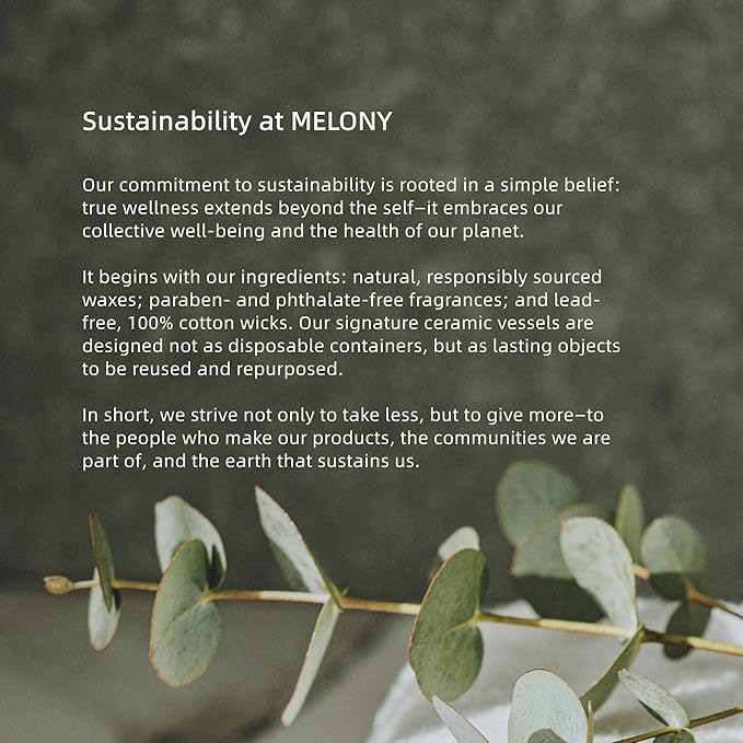 MELONY Massage Candle | Gentle Softening for Nourished, Hydrated, Balanced Skin | 230 g / 8.1 oz (Coffee Vanilla)