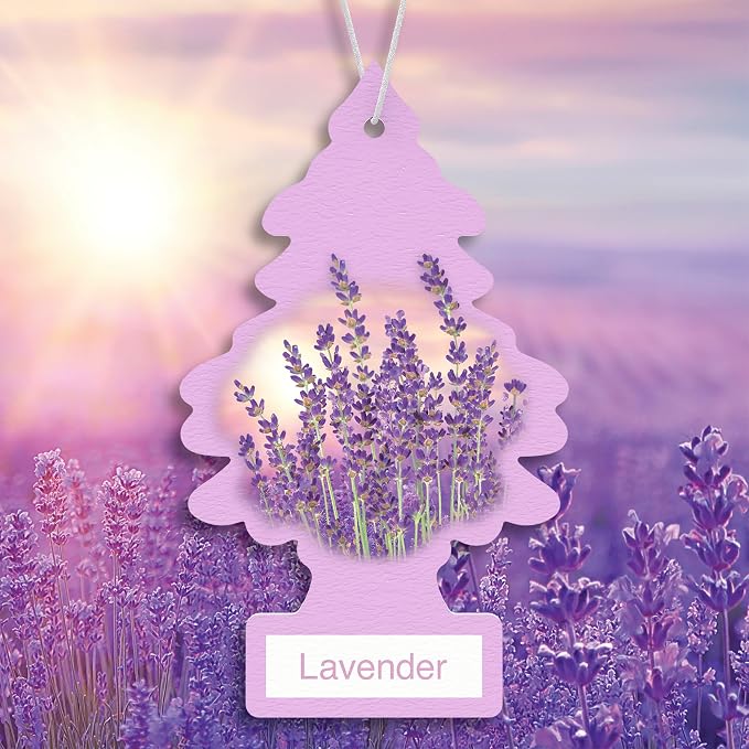 LITTLE TREES Car Air Freshener | Hanging Tree Provides Long Lasting Scent for Auto and Home | 24 Air Fresheners |Lavender