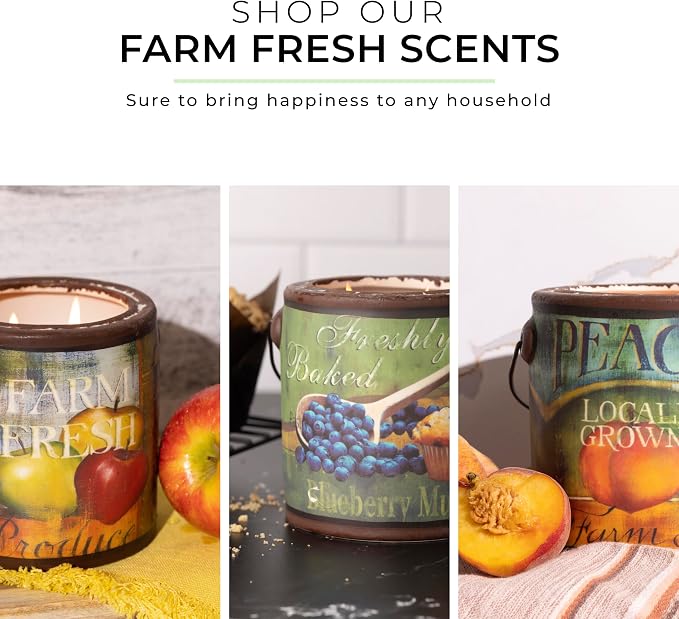 A CHEERFUL GIVER 95hr 20oz Scented Candle - Cranberry Orange - Multi-Wick Glass Candle - Gifts For Men and Women