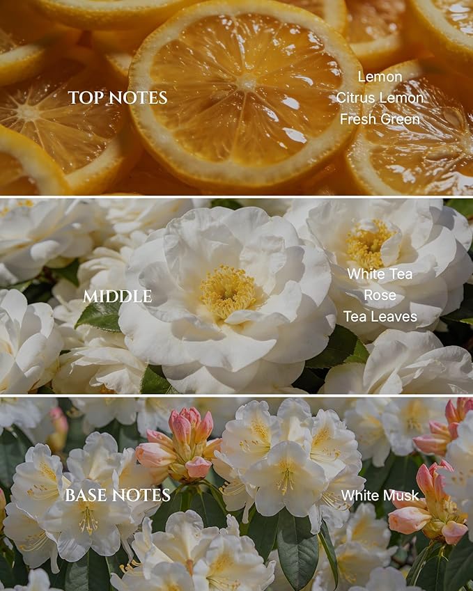 Aromadd White Tea Diffuser Oil Inspired by Luxury Hotel Scent, Premium Fragrance Oils for Waterless Diffuser, White Tea & Bergamot, Long-Lasting Home Fragrance - 6.76 fl oz (200 mL)