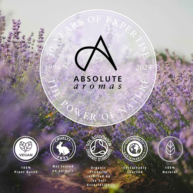 Absolute Aromas Goodnight Aroma-Roll Roller Ball - with 100% Pure Essential Oils - A Calming Relaxing Blend of Chamomile, Lavender and Vetiver in Jojoba Oil