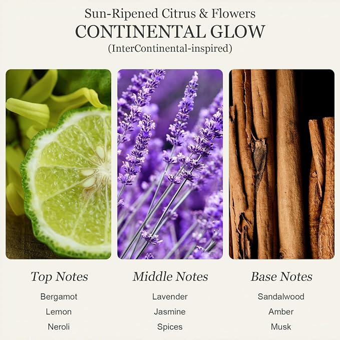 Luxury Hotel Collection Diffuser Oil(3x0.34 fl oz) |Essential Oil for Diffuser,Humidifier,Aromatherapy,Candle and Soap Making, Inspired by Ritz-Carlton, Westin, InterContinental,Gift for Women