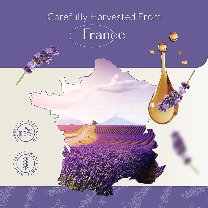 HBNO California Bottled Dutch Lavender Essential Oil 4 fl oz (120ml) - Natural Lavender Oil for Skin, Perfect for Cleaning, Aromatherapy, DIY & Diffuser
