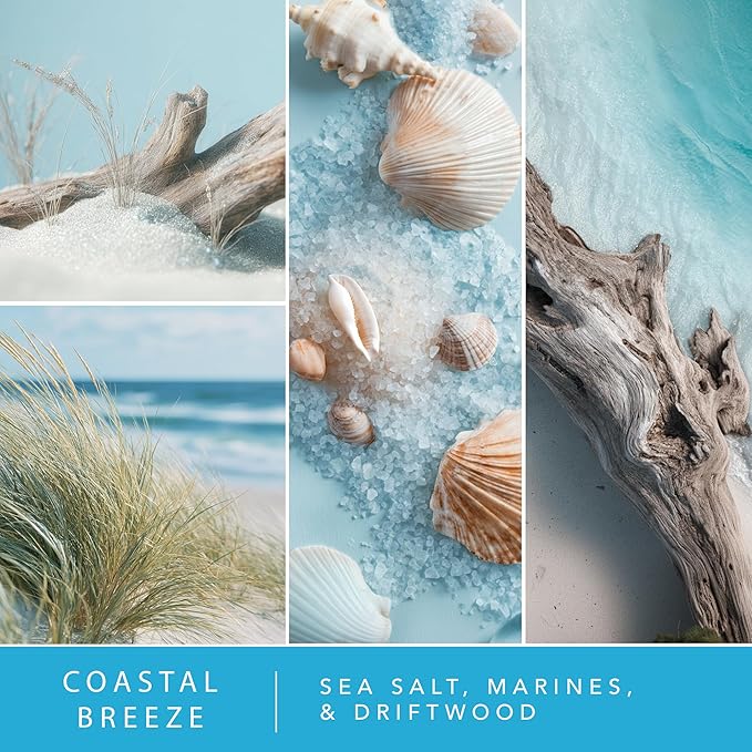 ScentSationals Water-Based Reed Diffuser - Coastal Breeze - 5 FL OZ Aromatherapy Reed Diffuser