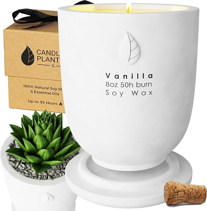 Concrete Cement Candle Planter - Aromatherapy Candles for Home Scented, Soy Candles - Scented Candle & Dual Purpose Jar Candles, Strong Scented Candles - 8 Oz, 50-Hour Burn