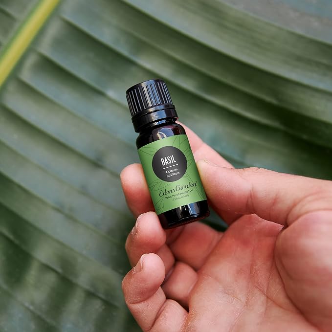 Edens Garden Basil Essential Oil- 100% Pure Premium Grade, Undiluted, Natural, Therapeutic, Aromatherapy, The Best for Diffuser, Skin, Candle, Laundry 30 ml (1 fl oz)