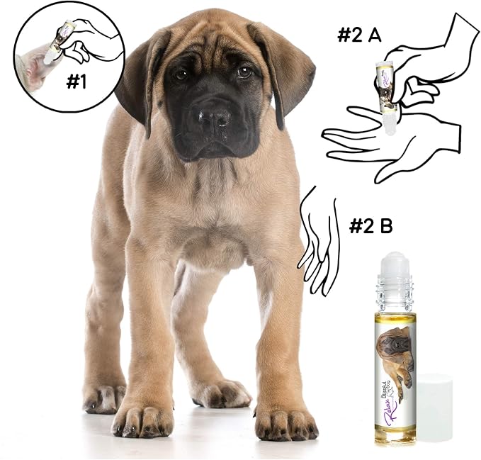The Blissful Dog Mastiff Relax Roll-ON Aromatherapy for Dogs - Anxiety Relief for Dogs